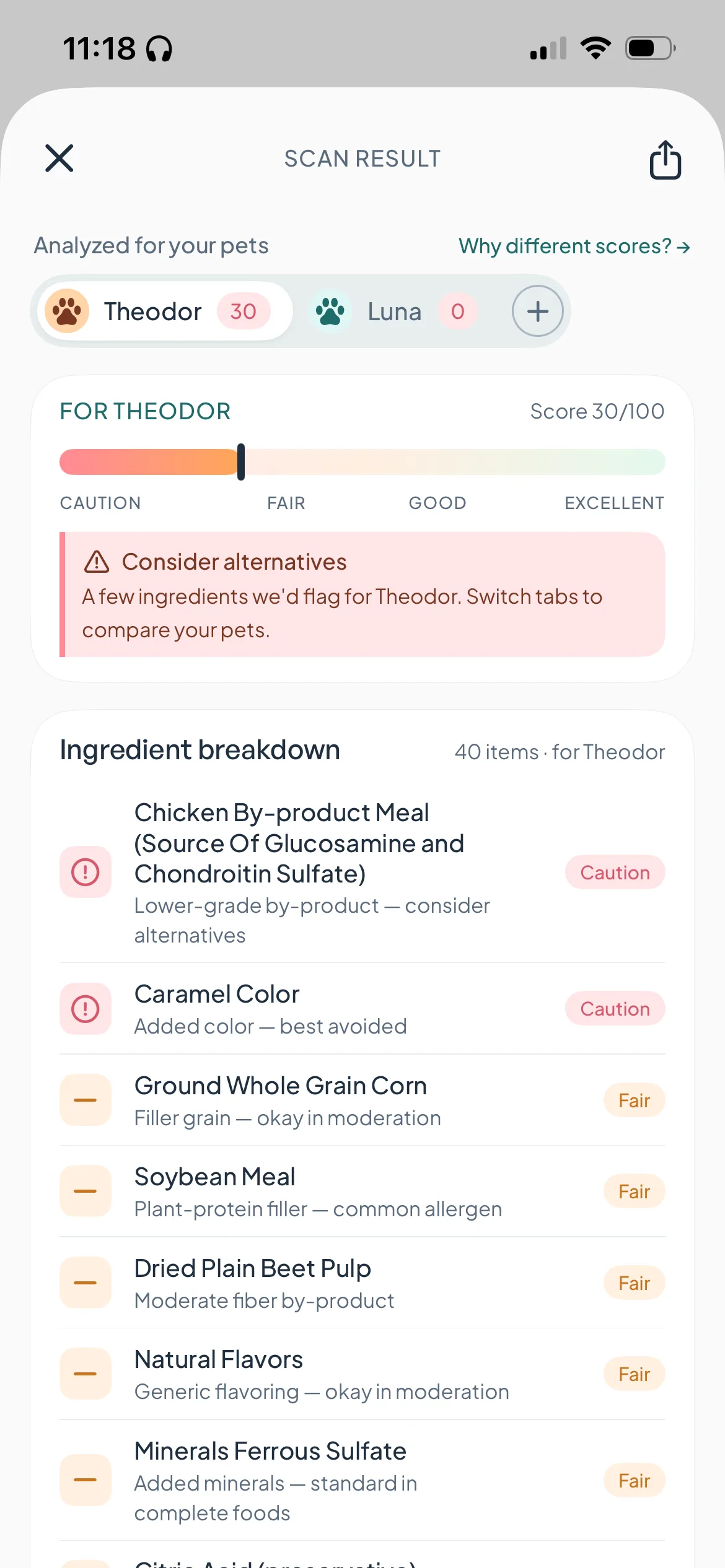 NatBuddy scan result — ingredient breakdown